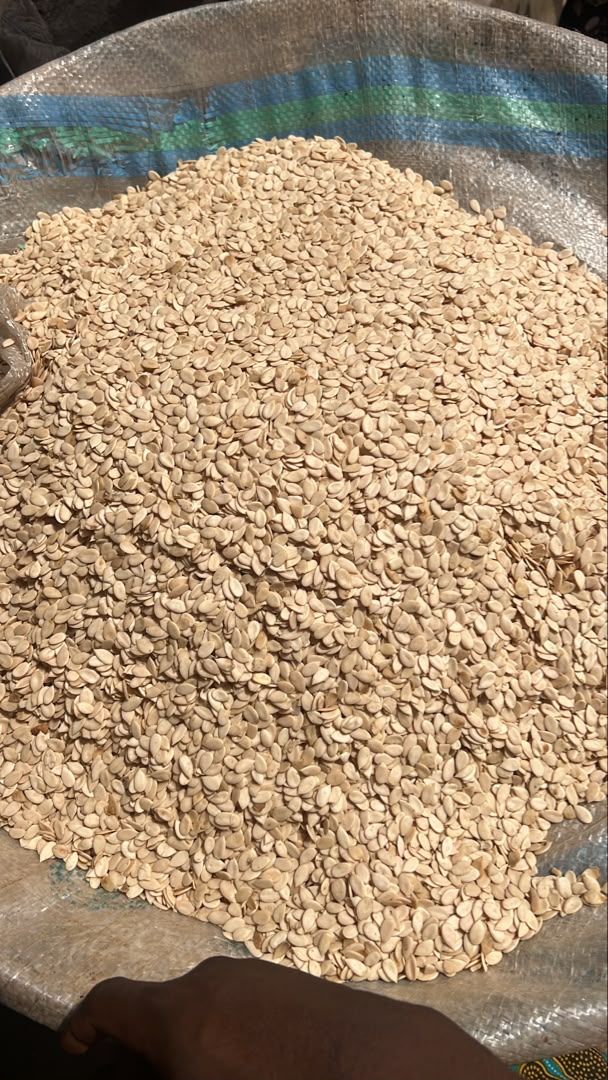 Egusi (melon seeds) in a tray
